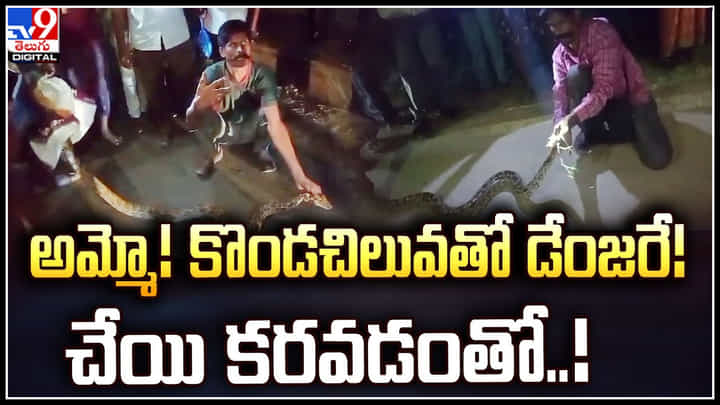 Huge Pythons: అమ్మో..! కొండచిలువతో డేంజరే.! మూడు భారీ కొండచిలువలు.. చేయి కరవడంతో.. Huge Pythons: అమ్మో..! కొండచిలువతో డేంజరే.! మూడు భారీ కొండచిలువలు.. చేయి కరవడంతో..