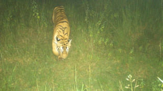 తండ్రి, కూతురు మృతి మనస్సును కలిచివేసింది.