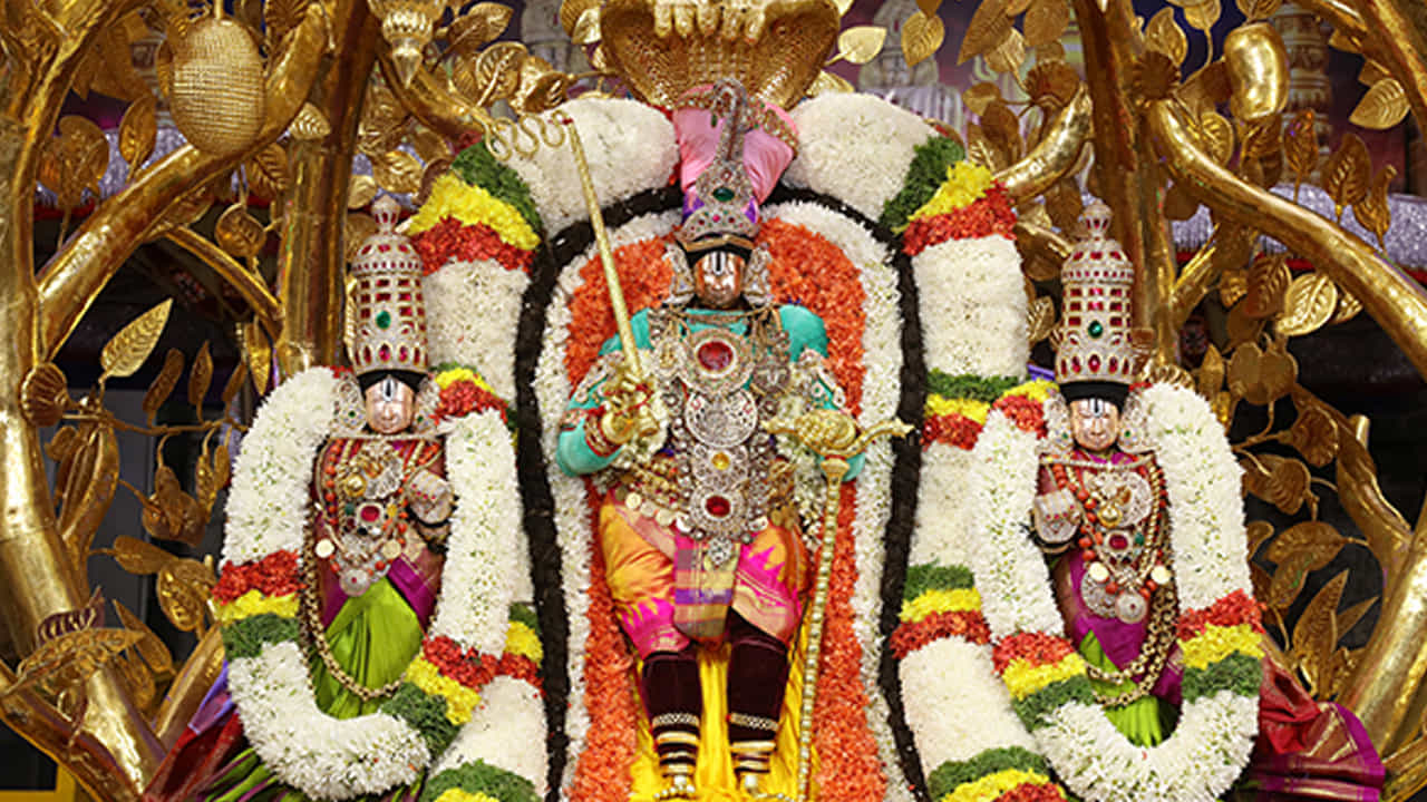 క్షీరసాగరమథనంలో విలువైన వస్తువులెన్నో ఉద్భవించాయి. వాటిలో కల్పవృక్షం ఒకటి. ఈ చెట్టు నీడన చేరిన వారికి ఆకలిదప్పులుండవు. పూర్వజన్మస్మరణ కూడా కలుగుతుంది. ఇతర వృక్షాలు తాము కాచిన ఫలాలు మాత్రమే ప్రసాదిస్తాయి. అలాకాక కల్పవృక్షం కోరుకున్న ఫలాలన్నింటినీ ప్రసాదిస్తుంది.