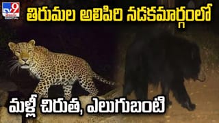 BJP vs YCP: ఏపీలో అధికార, విపక్షాల మధ్య మంటలు రేపుతున్న లిక్కర్‌ గొడవ