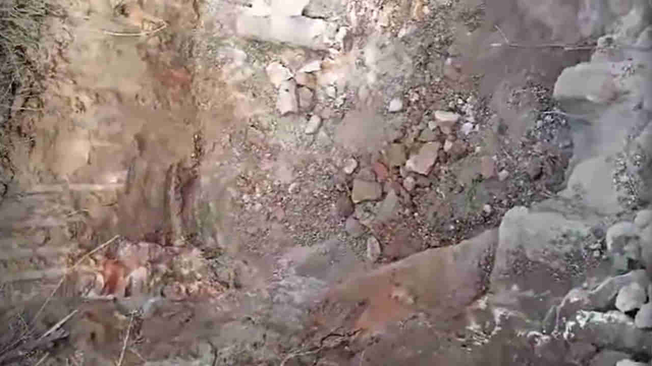 Andhra Pradesh: అర్ధరాత్రి గ్రామ శివారు నుంచి శబ్దాలు.. అనుమానంతో వెళ్లి చూడగా..