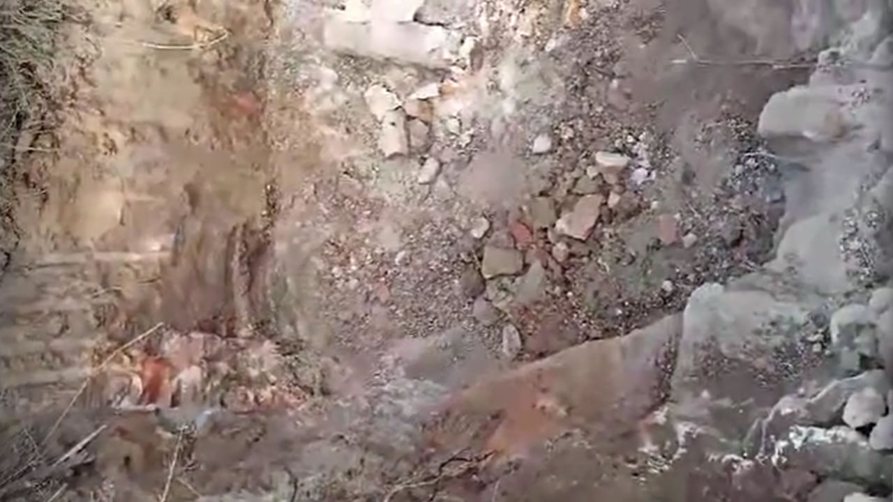 Andhra Pradesh: అర్ధరాత్రి గ్రామ శివారు నుంచి శబ్దాలు.. అనుమానంతో వెళ్లి చూడగా..