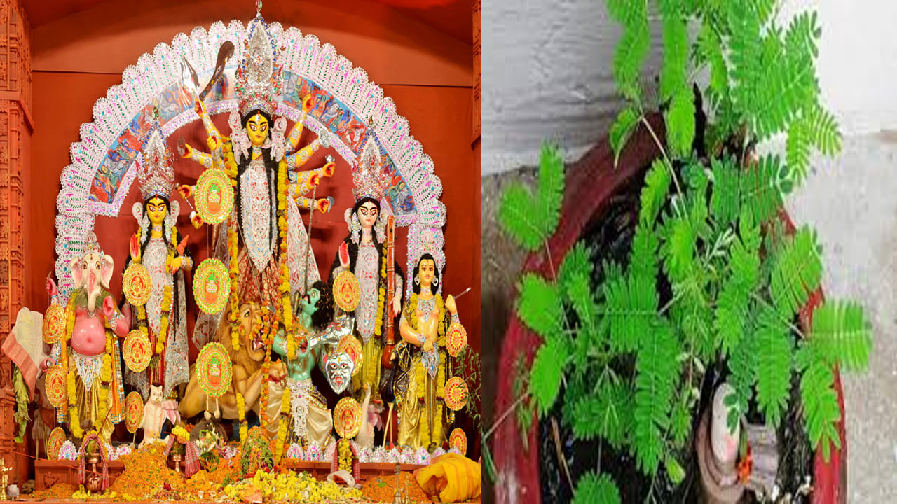 Vijayadashami: శమీ పూజకు ప్రధానం శ్రవణా నక్షత్రం.. విజయదశమి ఎప్పుడు జరుపుకోవాలంటే..?
