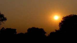 Agriculture ATM:  వ్యవసాయంలోనూ ఏటీఎం మోడల్.. రైతన్నలకు కాసులు కురిపిస్తోన్న నూతన విధానం