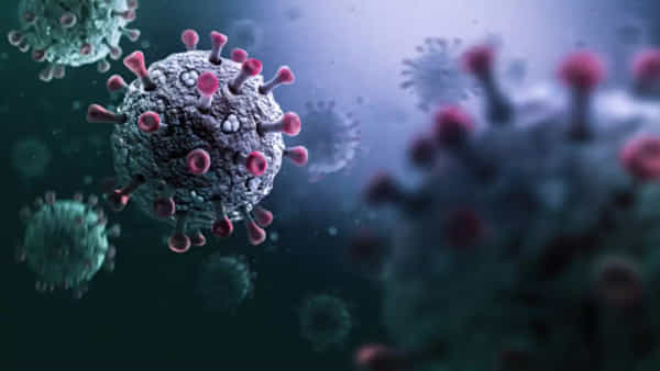 Disease X: దొంగ వస్తాడనే ముప్పు లాంటిదే డిసీజ్ ఎక్స్.. నిపుణుల కీలక వ్యాఖ్యలు