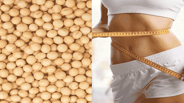Soya Beans: సోయాబీన్స్ గురించి దిమ్మతిరిగిపోయే నిజాలు.. బరువు తగ్గడంతో పాటు.. ఏకంగా ఇన్ని లాభాలా..?