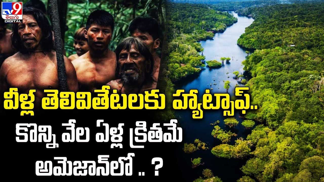 Amazon Forest: వీళ్ల తెలివితేటలకు హాట్సాఫ్‌.. కొన్ని వేల ఏళ్ల క్రితమే అమెజాన్‌లో..? శాస్త్రవేత్తలు ఏం కనుగొన్నారు?