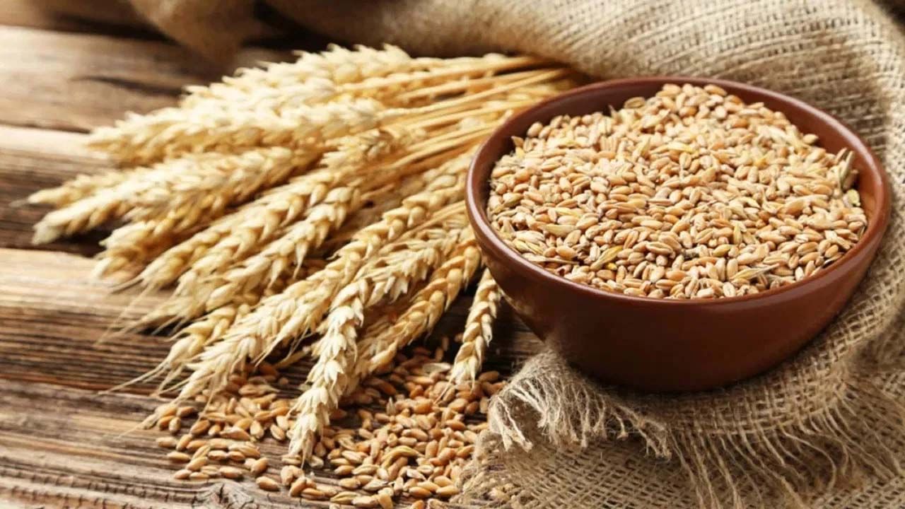 Wheat Price: పండుగల సమయంలో పెద్ద షాక్.. పెరగనున్న గోధుమ ధరలు!