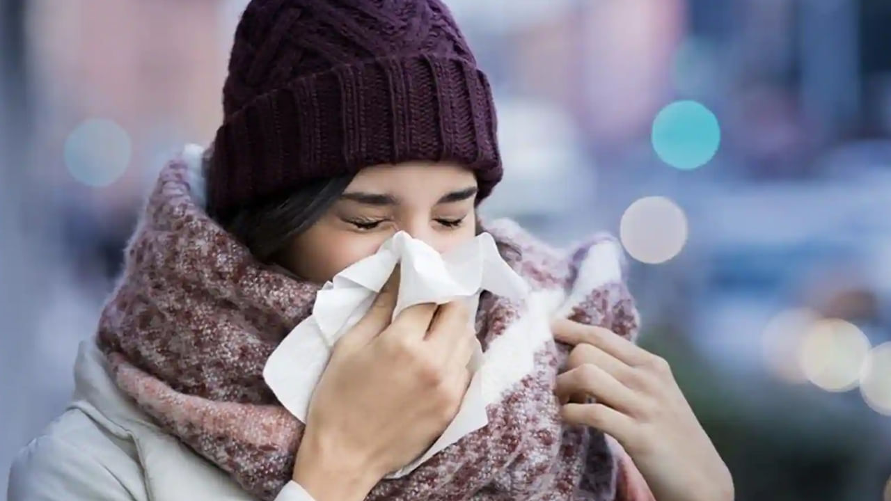 Winter Diseases: శీతాకాలం వచ్చేసింది.. ఈ జాగ్రత్తలు తప్పనిసరి అంటున్న వైద్యులు..తెలుసుకోండి..