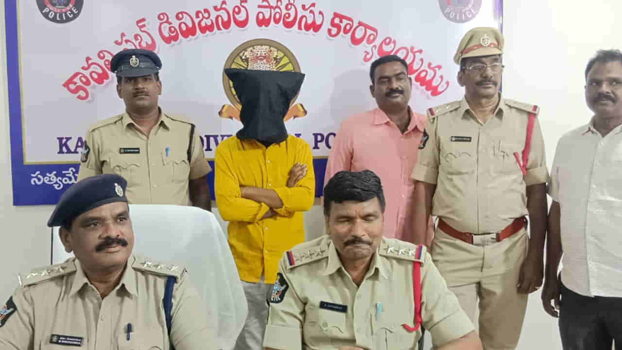 Nellore: యూట్యూబ్ వీడియోలు చూసి హత్యకు ప్లాన్ చేశాడు.. సీసీ కెమెరాలు చూసిన పోలీసులు షాక్..