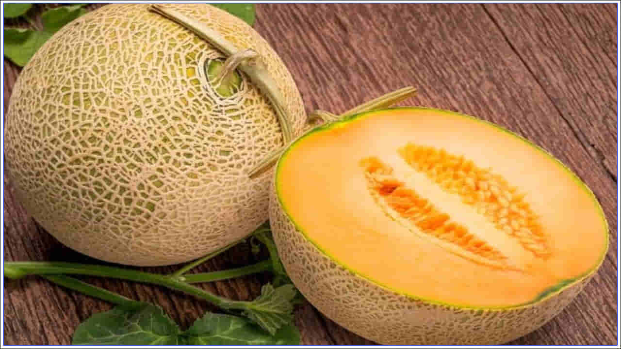 Yubari Melon: ఇది ప్రపంచంలోనే అత్యంత ఖరీదైన పండు.. కిలో కొనుగోలు చేయాలంటే లగ్జరీ కారు ధర