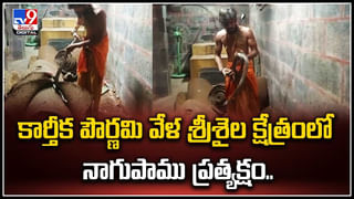 Peddapally: కుక్కకాటుకు మంత్రం., మట్టి ముద్ద..! రేబిస్‌ రాదంటున్న నాటు వైదుడు.