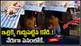 ఇల్లెక్కి గుడ్డుపెట్టిన కోడి..! నేరుగా పెనంలోనే పడ్డ గుడ్డు. ఇల్లెక్కి గుడ్డుపెట్టిన కోడి..! నేరుగా పెనంలోనే పడ్డ గుడ్డు.