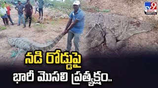 Viral: గాల్లోకి నోట్లు వెదజల్లుతూ.. బాణసంచా కాలుస్తూ రచ్చ.. వీడియో వైరల్‌ అవ్వడంతో ఎదురు దెబ్బ.