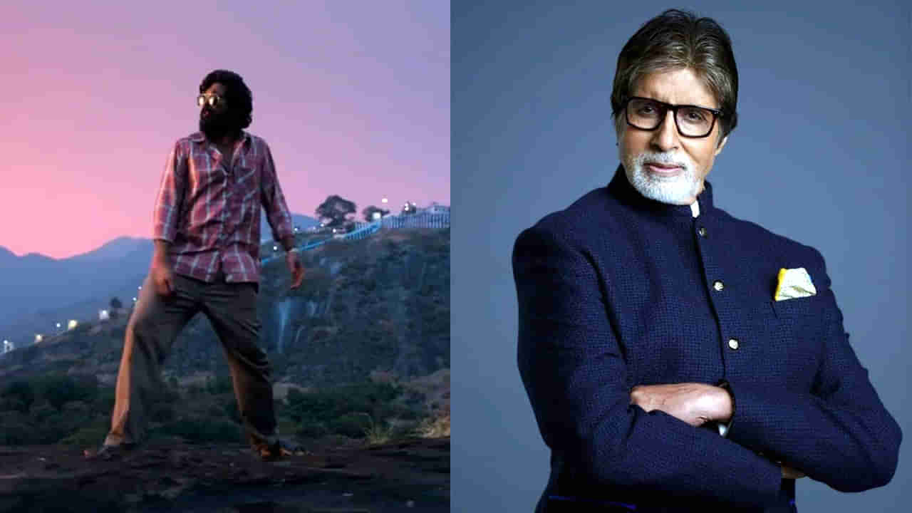 Amitabh Bachchan: శ్రీవల్లి పాటపై ఆసక్తికర కామెంట్స్ చేసిన అమితాబ్ బచ్చన్.. నా లైఫ్‌లో ఇలాంటిది చూడలేదు అంటూ..