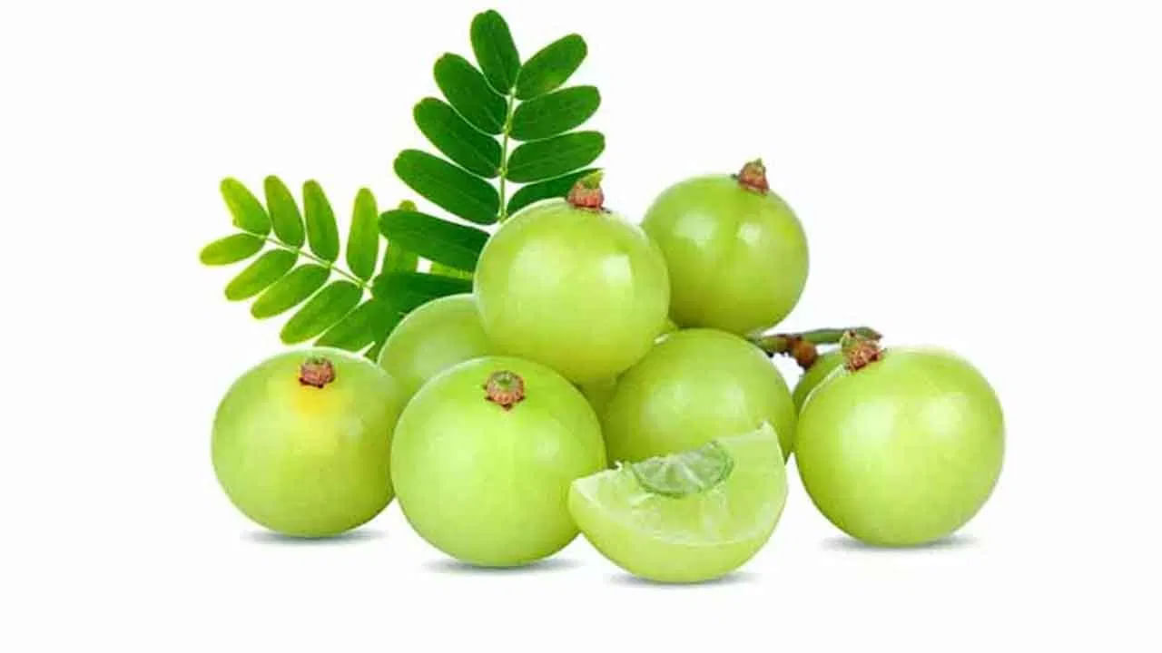 Amla Benefits: ఉసిరిలో పోషకాల నిధి.. చలికాలంలో తింటే ఆ సమస్యలే దరిచేరవు.. ప్రయోజనాలు తెలిస్తే వదిలిపెట్టరంతే..