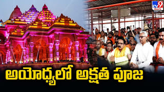 Diwali 2023: దీపావళి రోజున ఇంట్లో ఈ 5 మొక్కలను నాటండి.. లక్ష్మీదేవి అనుగ్రహంతో డబ్బుకి లోటు ఉండదు..