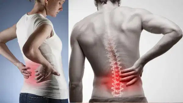 Remedies for Back Pain: నడుము నొప్పితో బాధపడుతున్నారా.. పాలు ఇలా తాగితే సెట్ అవుతుంది!