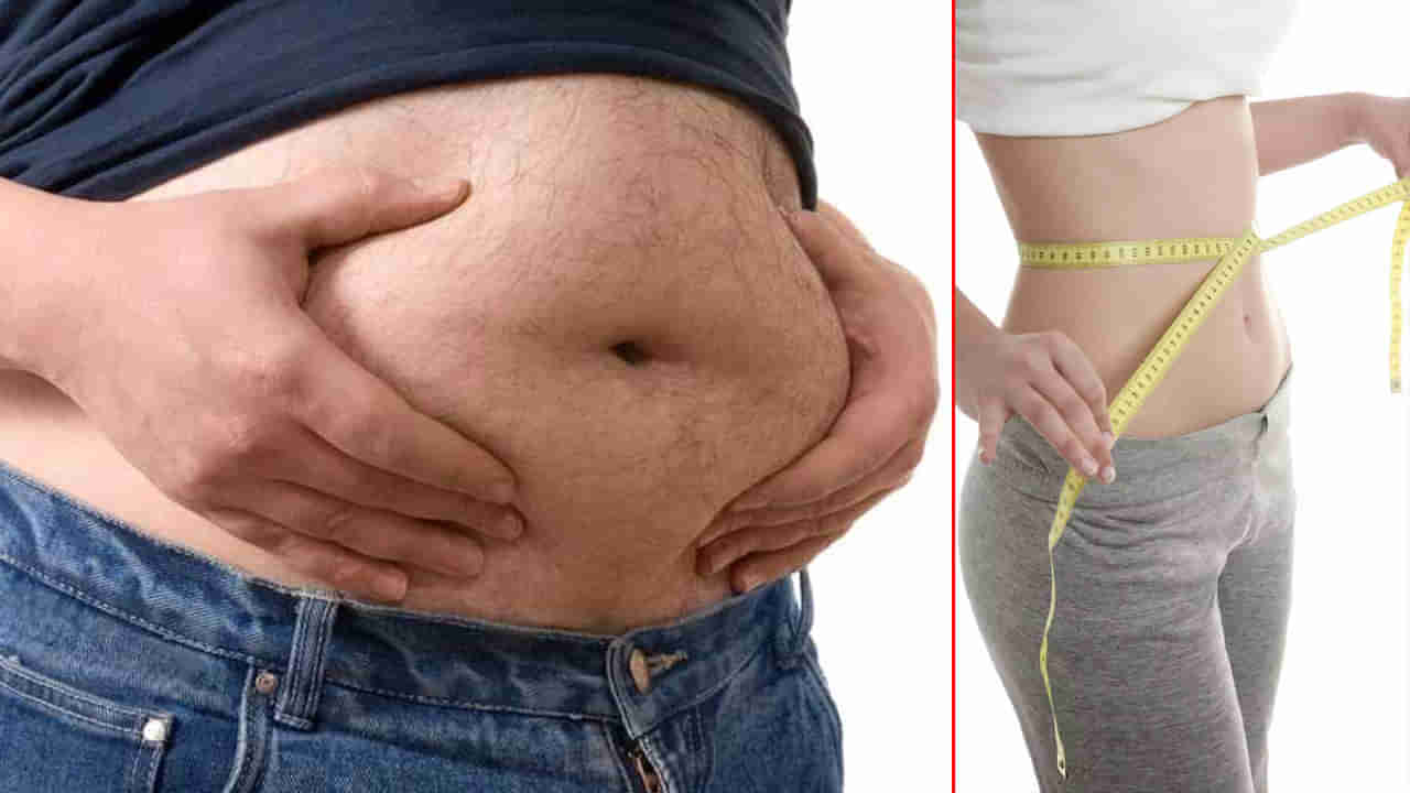 Weight Loss: బెల్లీ ఫ్యాట్‌‌తో బాధపడుతున్నారా..? ఈ 7 ఆహారాలతో ఇట్టే చెక్ పెట్టొచ్చు.. మీరు ట్రై చేయండి..