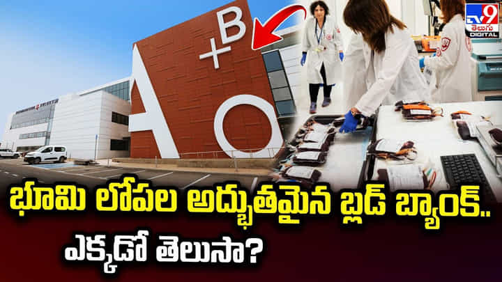 భూమి లోపల అద్భుతమైన బ్లడ్ బ్యాంక్.. ఎక్కడో తెలుసా ?? భూమి లోపల అద్భుతమైన బ్లడ్ బ్యాంక్.. ఎక్కడో తెలుసా ??