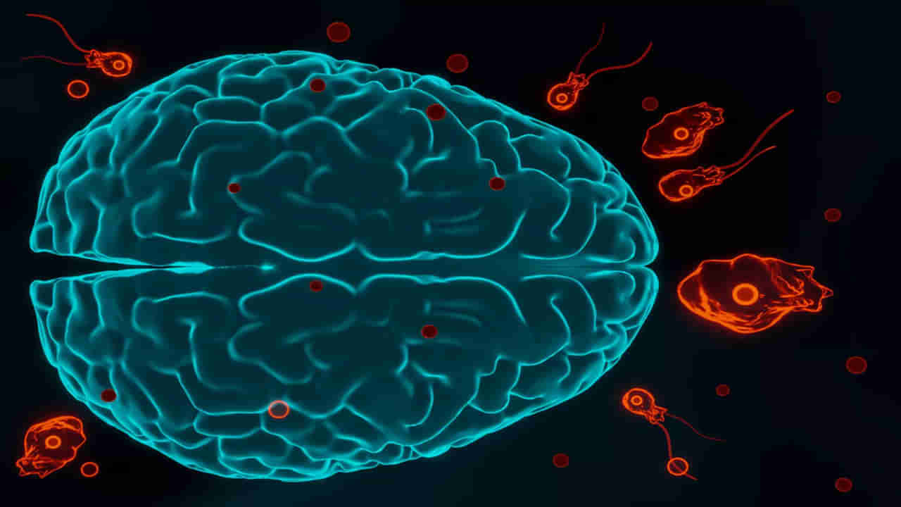 Brain-Eating Amoeba: చాప కింద నీరులా వ్యాపిస్తోన్న మెదడు తినే అమీబా.. ఇప్పటి వరకూ 11 మంది బలి