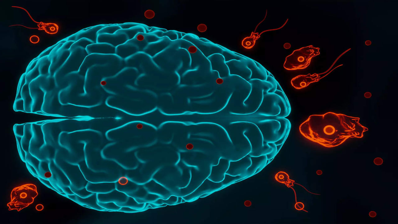 Brain-Eating Amoeba: చాప కింద నీరులా వ్యాపిస్తోన్న 'మెదడు తినే అమీబా'.. ఇప్పటి వరకూ 11 మంది బలి