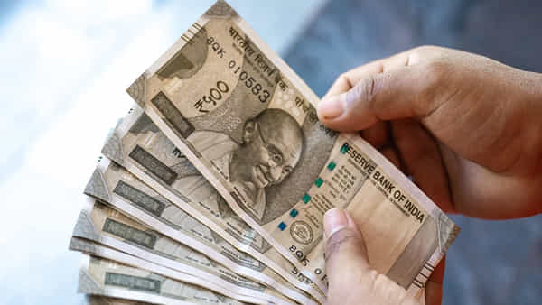 Business Idea: వింటర్ సీజన్లో సూపర్ బిజినెస్.. తక్కువ సమయంలో ఎక్కువ ఆదాయం..