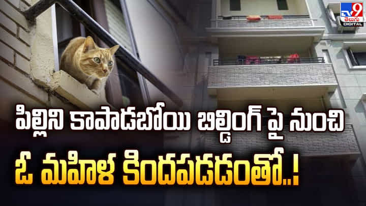 పిల్లిని కాపాడబోయి బిల్డింగ్ పై నుంచి ఓ మహిళ కిందపడడంతో.. పిల్లిని కాపాడబోయి బిల్డింగ్ పై నుంచి ఓ మహిళ కిందపడడంతో..