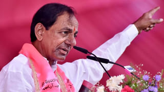 Telangana: తెలంగాణ ఎన్నికల ప్రచారంలో బీజేపీ జోరుతో కార్యకర్తల్లో సరికొత్త జోష్