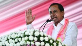 Telangana Election: రూ. 709 కోట్ల విలువైన నగదు, బంగారం, మద్యం, డ్రగ్స్ స్వాధీనం