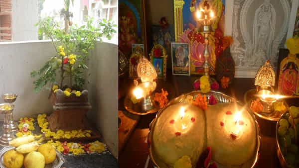 Dev Deepavali: ఈ రోజు సాయంత్రం చేసే తులసి పూజ, పిండి దీపం, దీప దానం ప్రాముఖ్యత ఏమిటో తెలుసా..