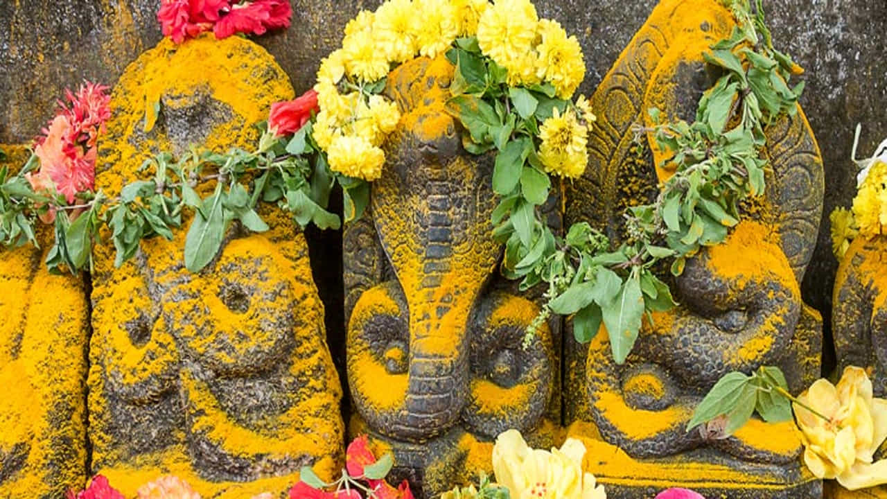 నాగుల చవితి: దీపావళి అమావాస్య తరువాత వచ్చే కార్తీక శుద్ధ చతుర్థిని నాగుల చవితి పండుగ అంటారు. ఈ పండగ రోజున పిల్లల సహా పుట్ట దగ్గరకు వెళ్లి పాలు సమర్పిస్తారు. మహిళలు ఉపవాసం ఉండి నాగపూజను ఆచరిస్తారు. చలిమిడి, నువ్వులతో చేసిన పదార్దాలతో నాగుల చవితికి నైవేద్యంగా సమర్పిస్తారు.