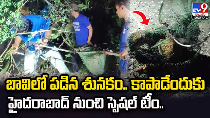 బావిలో పడిన శునకం.. కాపాడేందుకు హైదరాబాద్నుంచి స్పెషల్ టీం బావిలో పడిన శునకం.. కాపాడేందుకు హైదరాబాద్నుంచి స్పెషల్ టీం