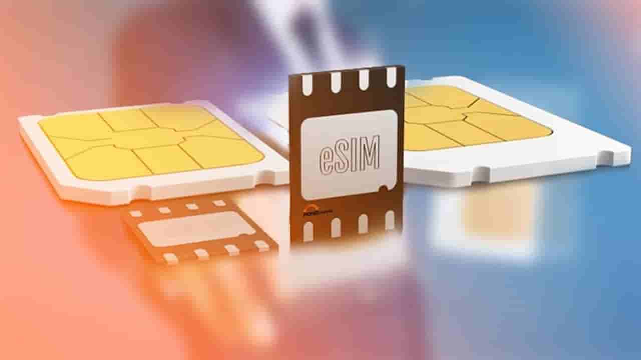 E-Sim Uses: సిమ్ కార్డు భద్రత విషయంలో అవే టాప్.. ఎయిర్టెల్ సీఈఓ షాకింగ్ సూచనలు..