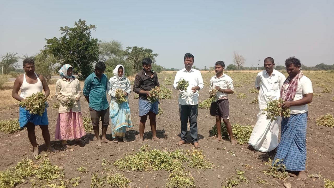 Andhra Pradesh: కరువు కోరల్లో రైతన్నలు.. భవిష్యత్‌ ప్రమాదాన్ని ఊహించుకుని బలవన్మరణాలు..! దాతల సాయం కోసం ఎదురు చూపులు..