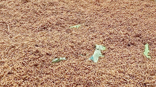 PM Modi: టార్గెట్ తెలంగాణ.. ఇవ్వాల్టి నుంచి మూడు రోజుల పాటు ప్రధాని మోదీ పర్యటన.. పూర్తి షెడ్యూల్ ఇదే..