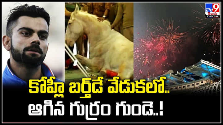 Viral: కోహ్లీ బర్త్డే సెలబ్రేషన్స్లో.. ఆగిన గుర్రం గుండె..! వైరల్ అవుతున్న వీడియో. Viral: కోహ్లీ బర్త్డే సెలబ్రేషన్స్లో.. ఆగిన గుర్రం గుండె..! వైరల్ అవుతున్న వీడియో.