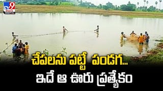 YSRCP: దూసుకుపోతున్న సామాజిక సాధికార రథం.. సమన్యాయంపై నాయకుల స్వరం