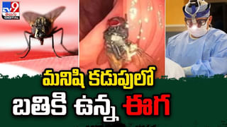 Viral: తాళం కప్పను మింగేసిన బాలుడు.. ఆ తర్వాత.? వీడియో వైరల్..