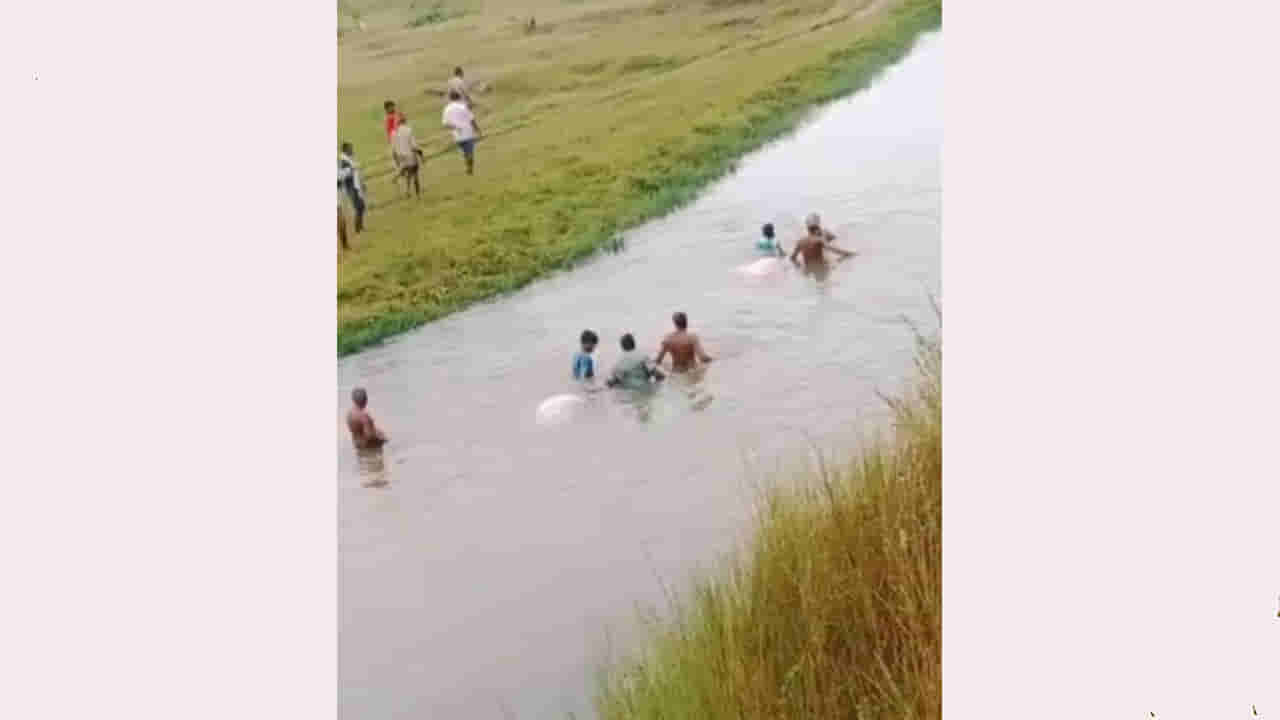 Andhra Pradesh: ఆ మూగజీవాల కోసం గుండెలవిసేలా రోధిస్తున్న ఓ రైతు కుటుంబం.. కారణమిదే..!