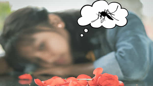 Viral News: రీల్స్కి లైక్ కొట్టలేదు..16 ఏళ్ల యువతి బ్రేకప్ స్టోరీ వైరల్.. ప్రేమికురాలిపై పగపట్టిన దోమ ఫ్యామిలీ..