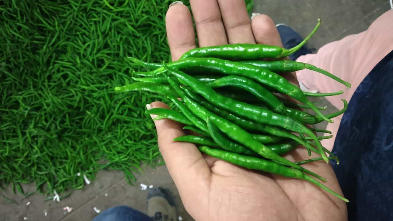 ఆయుర్వేదంలో కూడా కొన్ని రకాల అనారోగ్య సమస్యలకు వీటని ఉపయోగిస్తూఉంటారు. ముఖ్యంగా రక్త పోటును, చక్కెర స్థాయిలను కంట్రోల్ చేసుకోవచ్చు. అయితే చలి కాలంలో పచ్చి మిర్చి తినడం వల్ల మరిన్ని ప్రయోజనాలు ఉన్నాయని ఆరోగ్య నిపుణులు చెబుతున్నారు. మరి ఆ ప్రయోజనాలు ఏంటో ఇప్పుడు తెలుసుకుందాం.