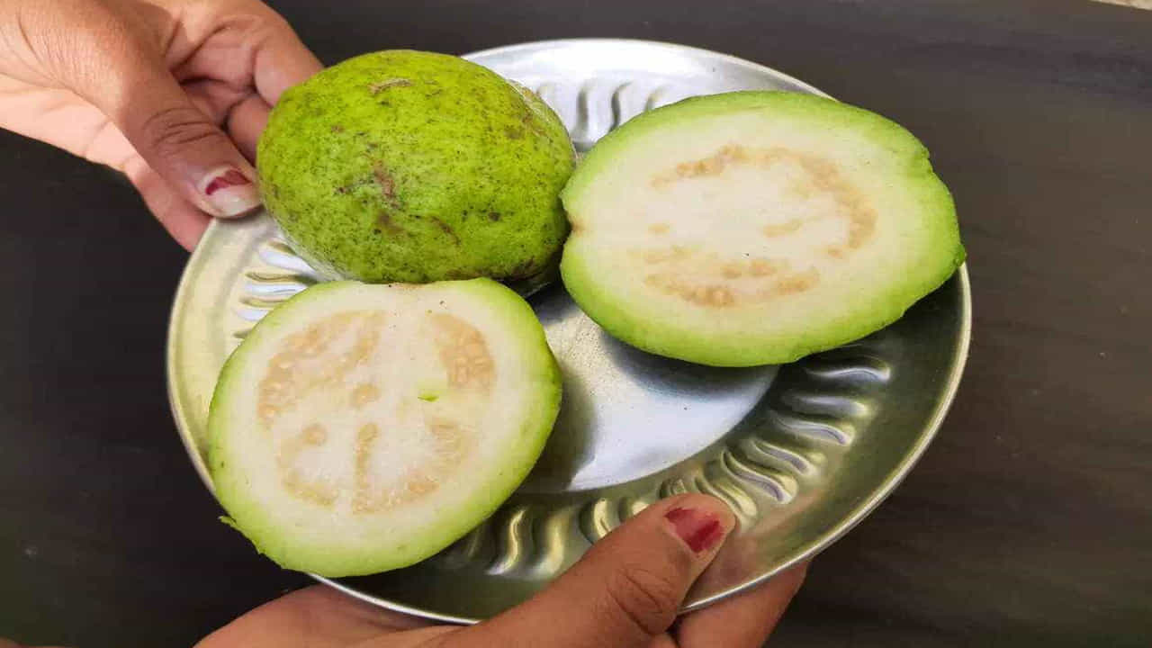 జామకాయను.. ప్రతి ఒక్కరికీ అందుబాటులో ఉండే చవకైన పండు.. దీన్ని సాధారణంగా తొక్కతోనే తింటుంటారు. జామపండు తొక్కతో కూడా ఎన్నో రకాల ఆరోగ్య ప్రయోజనాలున్నాయి. ఇది మన చర్మ కణాలను పునరుత్పత్తి చేస్తుంది. అలాగే ఫ్రీ రాడికల్స్ తో పోరాడుతుంది..అంతేకాదు. చర్మం, జుట్టుకు ఎన్నో పోషకాలను అందిస్తుంది. జామ తొక్క సారం మన చర్మాన్ని అందంగా, ప్రకాశవంతంగా చేస్తుంది. అలాగే చర్మంపై మచ్చలను పోగొడుతుంది. మొటిమలను కూడా నివారిస్తుంది. 