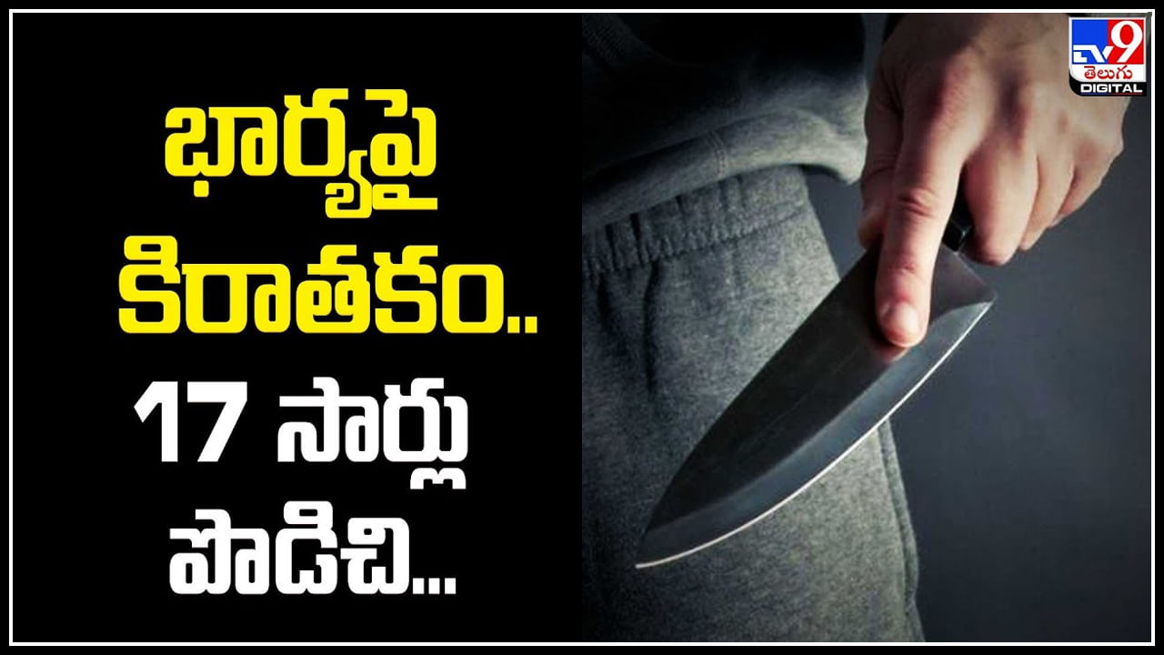 Crime: భార్యపై కిరాతకం.! 17 సార్లు పొడిచి.. అమెరికాలో కేరళవాసికి జీవిత ఖైదు.. వీడియో.