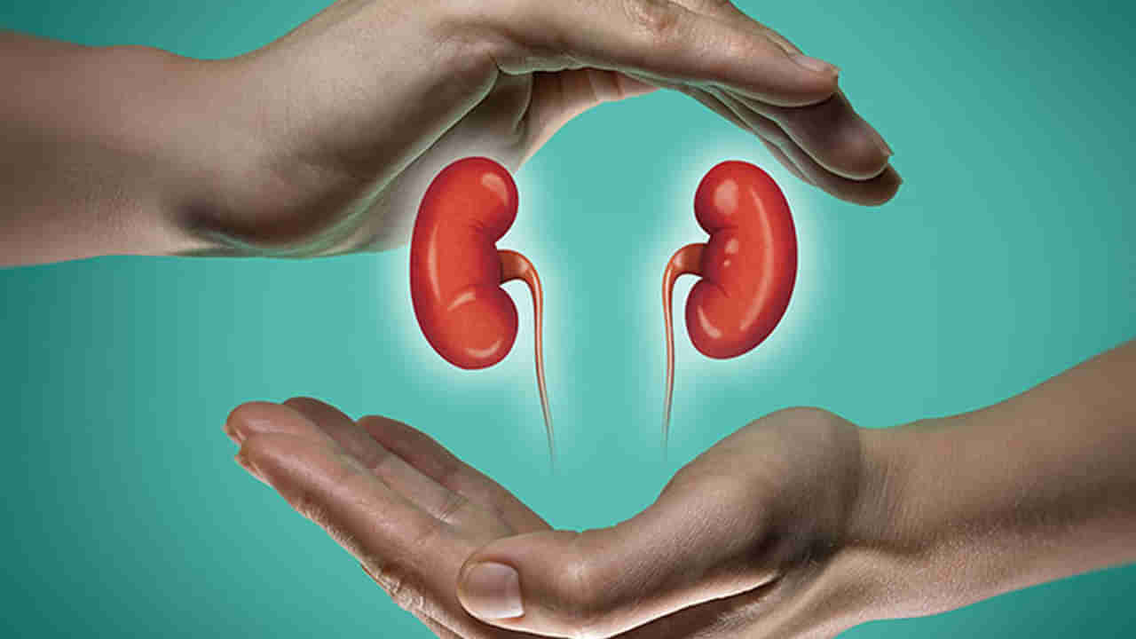 Kidney Health: మీ కిడ్నీలు భద్రంగా ఉండాలా.? ఈ ఫుడ్‌ తీసుకుంటే చాలు..