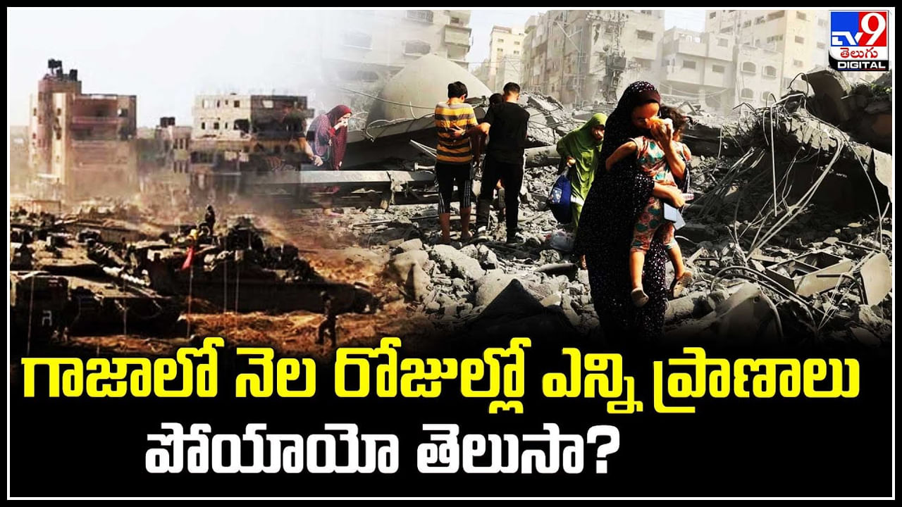 Gaza-Israel: గాజాపై ఇజ్రాయెల్‌ నిప్పుల వర్షం.. నెల రొజుల్లో ఎన్ని ప్రాణాలు పోయాయే తెలుసా..?