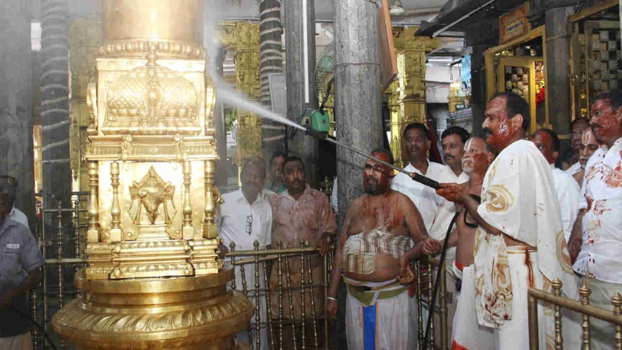 TTD Tiruchanur Temple: తిరుచానూరు ఆలయంలో.. ఘనంగా కోయిల్ ఆళ్వార్ తిరుమంజనం