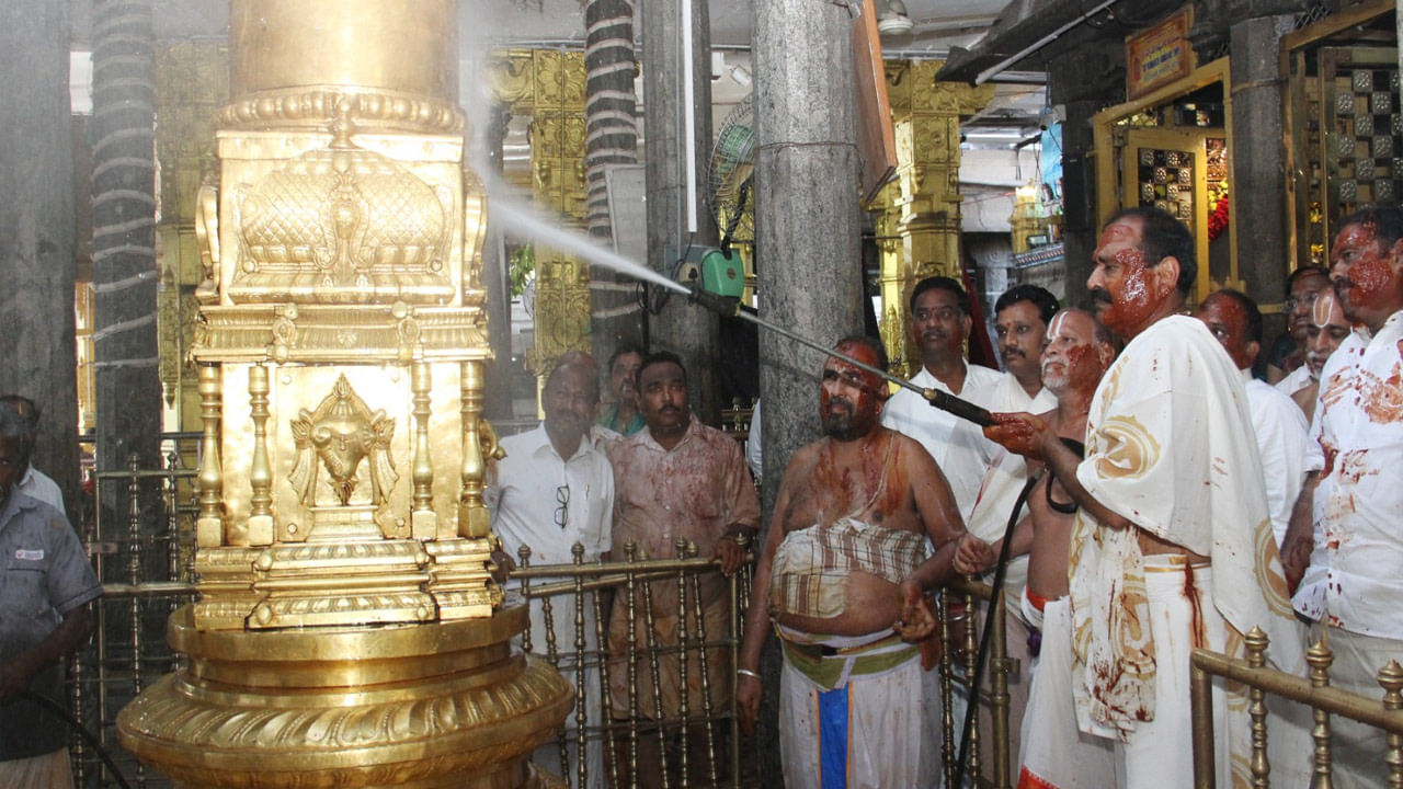 TTD Tiruchanur Temple: తిరుచానూరు ఆలయంలో.. ఘనంగా కోయిల్‌ ఆళ్వార్‌ తిరుమంజనం
