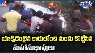 Viral: విమానంలో బోను నుంచి తప్పించుకున్న గుర్రం.. తర్వాత ఏమైందంటే..!