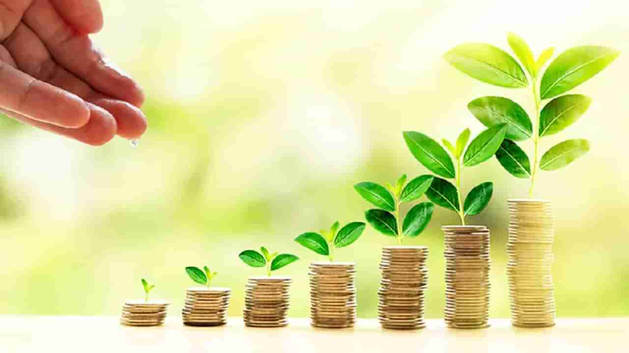 Money Plants: చెట్లకు డబ్బులు కాస్తాయా? ఇది చదవితే కాదనలేరేమో! లక్కీ మనీ ప్లాంట్స్ ఇవే..